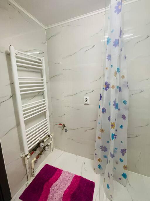 Lavender Luxury Apartment Oradea Bagian luar foto