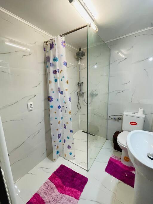 Lavender Luxury Apartment Oradea Bagian luar foto