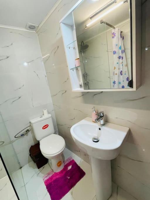 Lavender Luxury Apartment Oradea Bagian luar foto